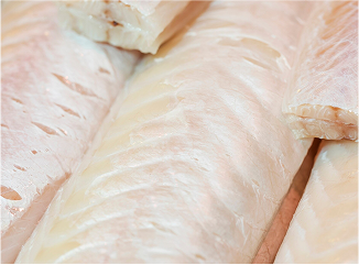 Filetes de merluza congelada